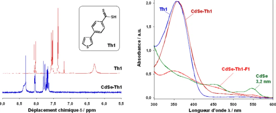 Figure III-46 Spectres RMN- 1 H (solvant : DMSO-d 6 ) et absorption UV-visible (solvant : DMSO) du ligand acide 4- 4-thiophène-3-yl-dithiobenzoïque (Th1) et de l’hybride CdSe-Th1.