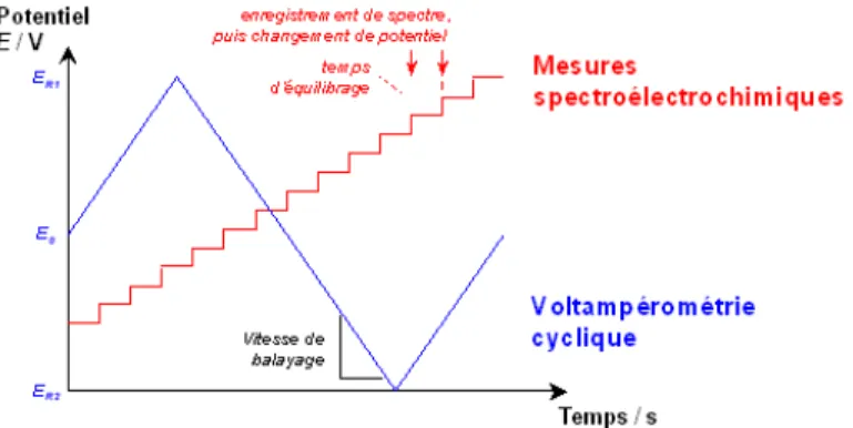 Figure III-68 Variation du potentiel appliqué en fonction du temps dans le cas des mesures électrochimiques  (voltampérométrie cyclique, courbe bleue) et dans le cas des mesures spectroélectrochimiques utilisées dans nos  études (courbe rouge)