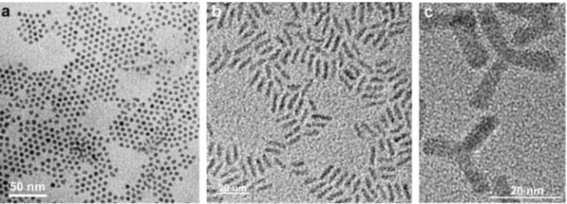 Figure II-18 Images de Microscopie Electronique à Transmission Haute Résolution (HR-TEM) d’ensembles de  nanocristaux de type cœur CdSe déposés sur un substrat de carbone amorphe a) sous forme sphérique, b) sous  forme allongée, appelés « nanorods » et c) 