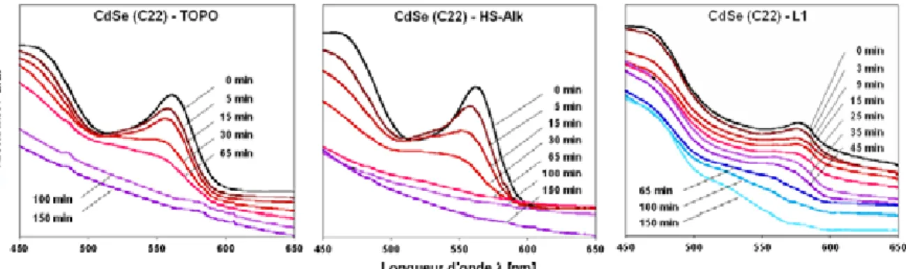 Figure III-21 Spectres d’absorption UV-visible de trois échantillons de CdSe (lot « CdSe 22 », Ø 3,3 nm) avant et  après échange de ligands enregistrés pour différentes durées d’irradiation avec de la lumière UV (254 nm) : à  gauche CdSe enrobé par TOPO, a