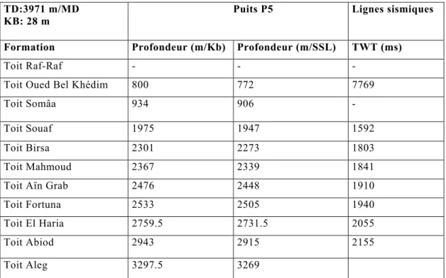 Tableau 6.3. Calage au puits 5 