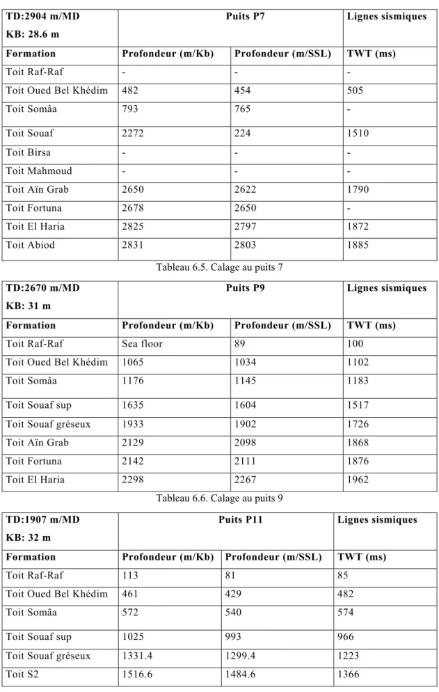 Tableau 6.6. Calage au puits 9 