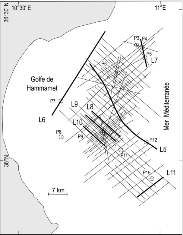Fig. 7.15. Carte de localisation des profils sismiques dans le golf de Hammamet. P: Puits pétroliers, L7-L11: Lignes  sismiques