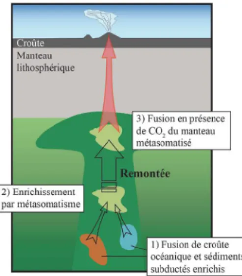 Figure  6.2.  Modèle  schématique  illustrant  la  production  de  manteau  péridotitique  métasomatisé  et  sa  fusion  en  présence  de  CO 2   comme  source  des  laves  alcalines