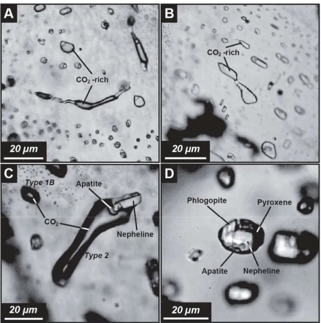 Figure 4.8. Photomicrographs of representative fluid inclusions in olivine from Saghro nephelinites