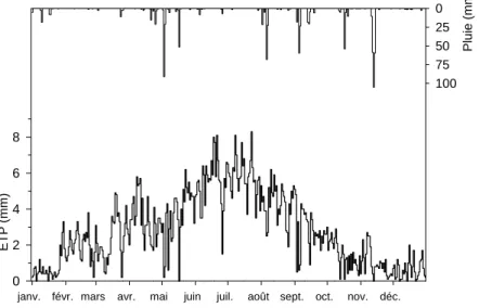 Figure 8 :   Pluie et évapotranspiration potentielle (ETP Penman) quotidiennes moyennes  relevées sur le bassin versant de Roujan en 1999
