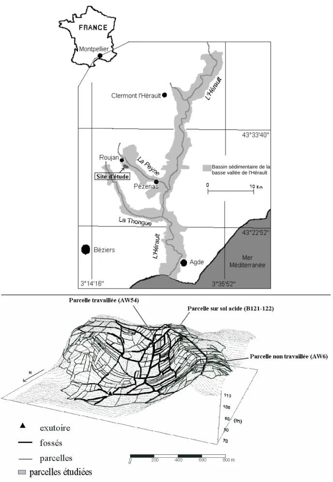 Figure 9 :   Situation du bassin versant expérimental de Roujan dans la vallée de l’Hérault 