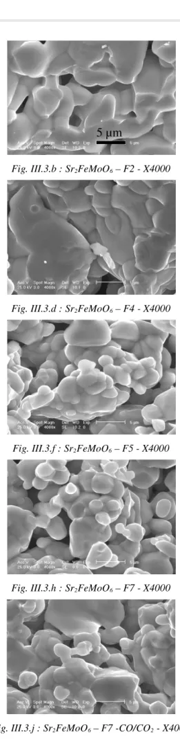Fig. III.3.a : Sr 2 FeMoO 6  – F2 – X1000 Fig. III.3.b : Sr 2 FeMoO 6  – F2 - X4000