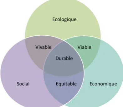 Figure 4.1.1. : Schéma du développement durable.  