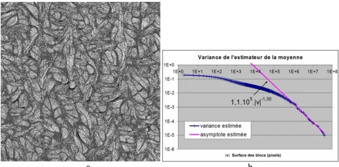 Table 7 : Variance de l'estimateur du taux de phase pour le matériau de la Fig.54. 