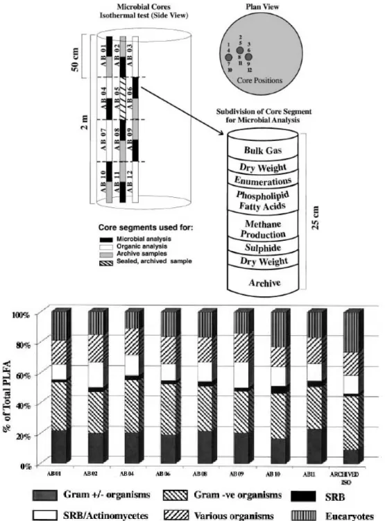Figure 6. Analyses microbiologiques de matériau tampon argileux réalisées dans le cadre de  l'expérience ITT (AECL, Canada) après 6,5 ans d’incubation à température constante