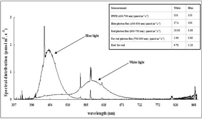 Figure 11: Distribution of spectral photon fluence rate of the white and blue light treatments