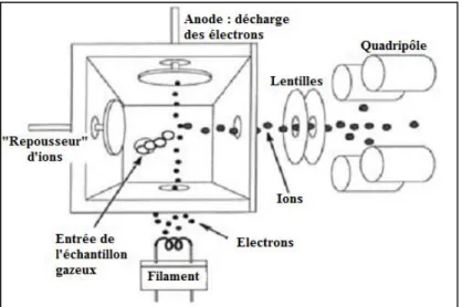 Figure 8 : Principe de fonctionnement d’une source à ionisation par impact électronique  