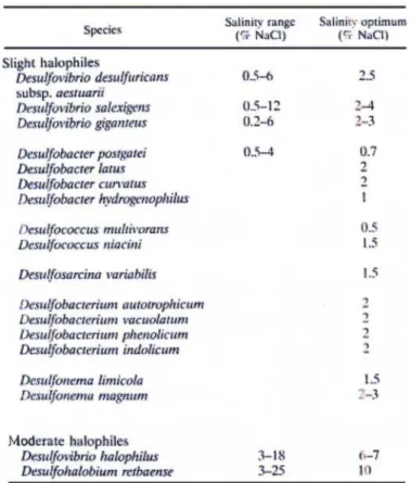 Tableau 5 : Bactéries sulfato-réductrices halophiles classées  selon leurs tolérances au sel