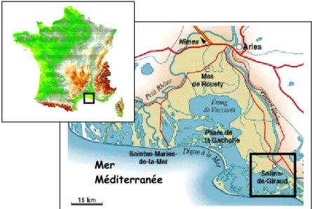 Figure 9 : Situation géographique des salins de Salins-de-Giraud. 
