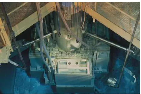 Fig. 4 : vue globale du réacteur MINERVE 