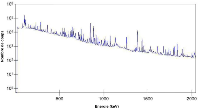 Fig. 13 : spectre de produits de fission obtenu 2 heures après irradiation d’ un crayon  combustible dans le réacteur MINERVE 