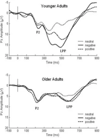 Figure 12 : Potentiels évoqués au niveau de l’électrode Pz, en fonction de la valence des stimuli et de  l’âge