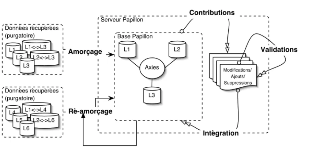 Figure 1. Stratégie de construction de la base Papillon