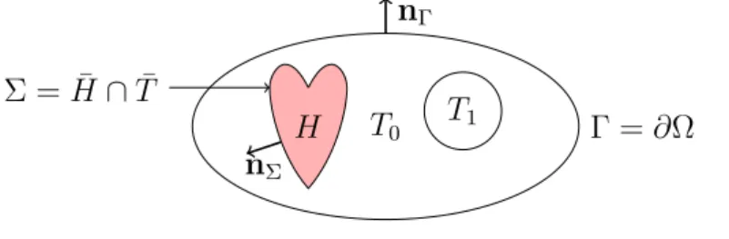 Fig. 1.4 – Coeur H dans le thorax T = ∪ j T j , Ω = H ∪ Σ ∪ T