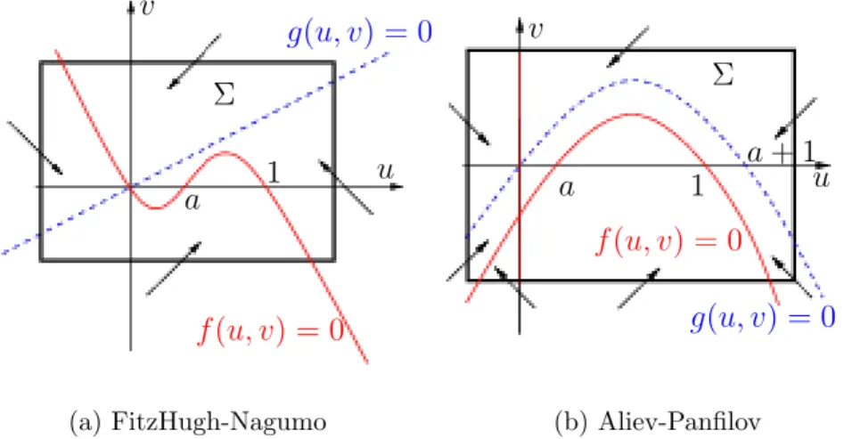 Fig. 1.5 – R´ egions invariantes
