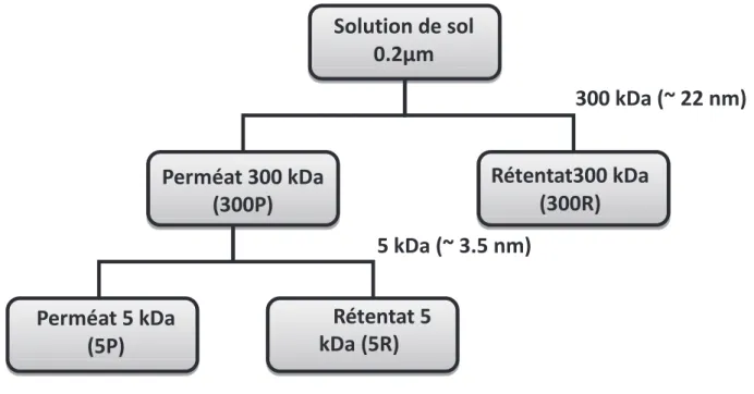 Figure 4: Protocole de filtration et d'ultra-filtration des solutions de sol 