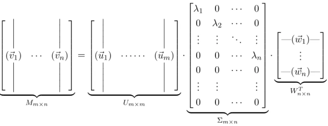 Figure 3.1: Structure of the matrices in the decomposition. M is the original matrix, made of the vectors (~v i ); U and W are the matrices of the left and right singular vectors respectively