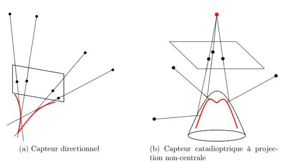 Fig. 1.13 – Deux illustrations de courbes caustiques pour des capteurs non-centraux [136].