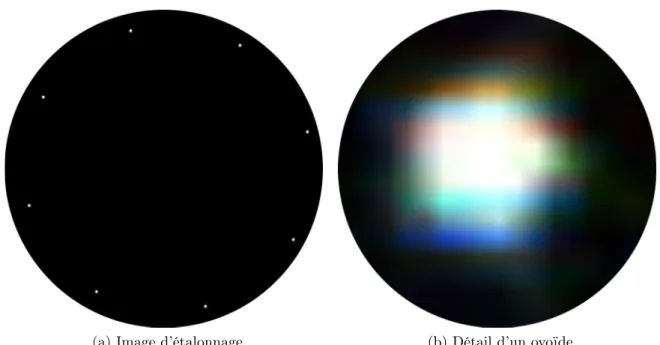 Fig. 2.11 – Exemple d’une image d’étalonnage acquise par le système (mire-capteur) réel et détail d’un ovoïde