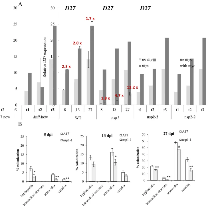 Figure  7:  D27  expression  measured  by  qRT-PCR  in  a  time  course  mycorrhization  assay  in  M