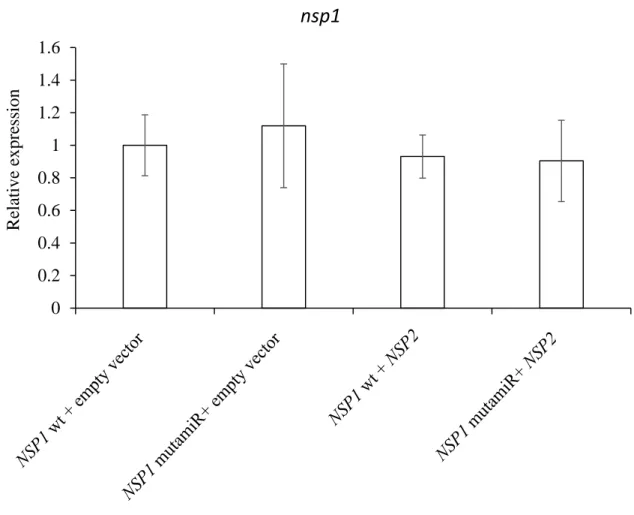 Figure S1: MtNSP1 and MtNSP1 mutamiR expression in agroinfiltrated Tobacco leaves. 