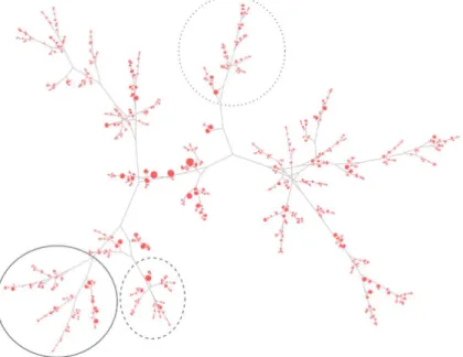 Figure 4.5 – Cluster correspondant à notre ensemble test de phrases. La partie entourée en pointillés correspond à l’endroit où il y a le plus de verbes ; celle entourée par des tirets aux déterminants et la partie en trait plein correspond aux adjectifs