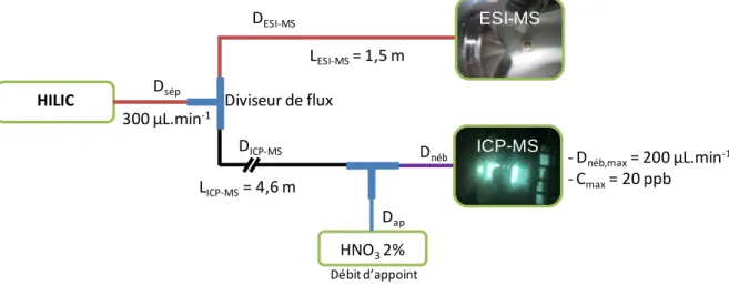 Figure 58 : schéma de principe du couplage simultané entre la chromatographie en mode  HILIC, l’ESI-MS et l’ICP-MS, avec les différents débits dans chaque partie du montage 