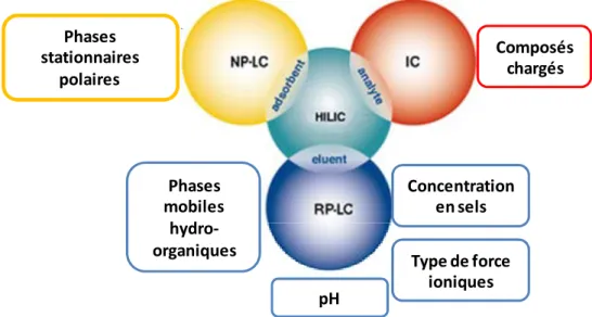 Figure 8 : l’HILIC, combinaison des caractéristiques de la RP-HPLC, la NP-HPLC et l’IC (adapté  de [24])