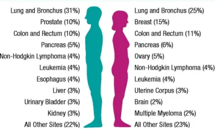 Figure 2.1: Ten leading cancer types for the estimated new cancer cases and deaths, by sex, US, 2003 [55].