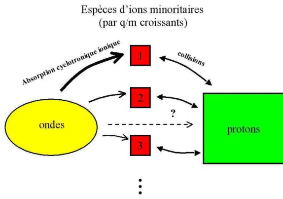 Fig. 9.2: Transferts d’´energie entre ondes, ions minoritaires et protons dans la basse cou- cou-ronne solaire