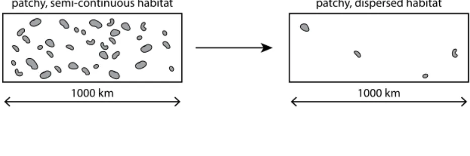 Figure 4.  Two end-member distributions of chemosynthetic habitat. Note the continuum of  distribution between the two habitats