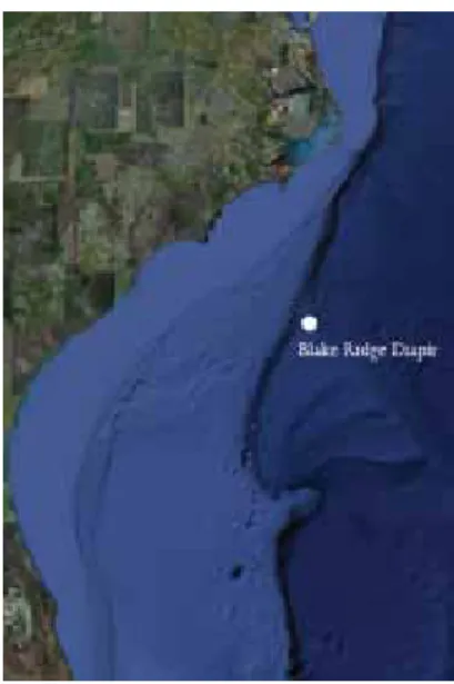 Figure 3.1 An example of patchy, semi-continuous  distribution of chemosynthetic habitats: Seeps on the  Louisiana Slope, Gulf of Mexico