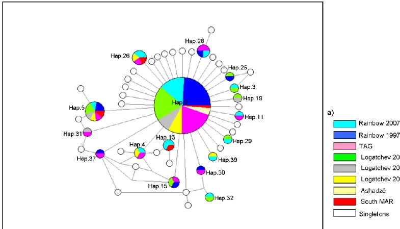 Figure  2.  Haplotype  network  of  the  obtained  mtDNA  haplotypes  of  Rimicaris  exoculata  sampled  1 