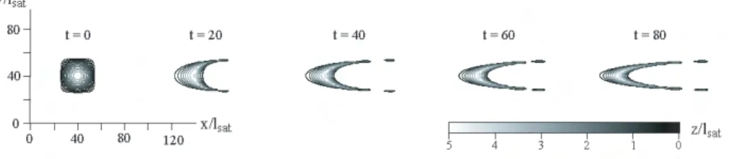 Fig. 3.9 – Evolution d’un tas ”cosbump”, en utilisant un d´ ecoupage en tranche et le mod` ele C c c ` a 2d