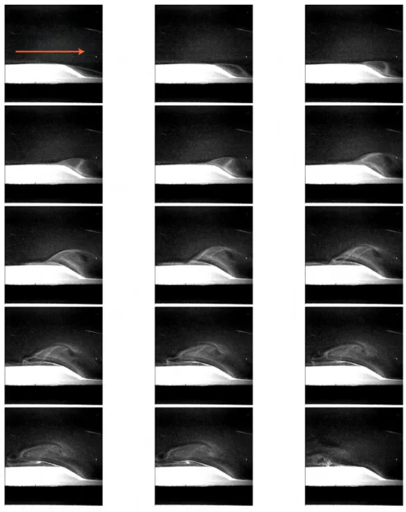 Fig. 2.37 – Evolution de la bulle de recirculation form´ ee derri` ere une dune bidimensionnelle en cellule de Hele et Shaw, lorsque l’´ ecoulement est brutalement stopp´ e