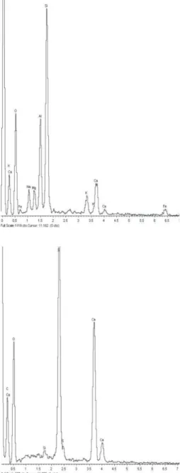 Fig.  2.  Two  different  qualitative  SEM  X-ray  diffractograms.  A)  Example  of  volcanic  dust  spectrum