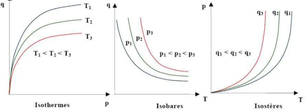 Figure 2.2.1: Allure générale des isothermes, isobares et isostères d’adsorption [Hon- [Hon-gois, 2011]