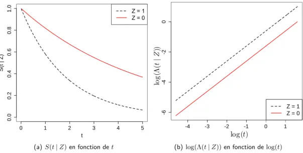 Figure 1.2 – Exemple de courbes de survie et de risque instantané sous le modèle à risques proportionnels.