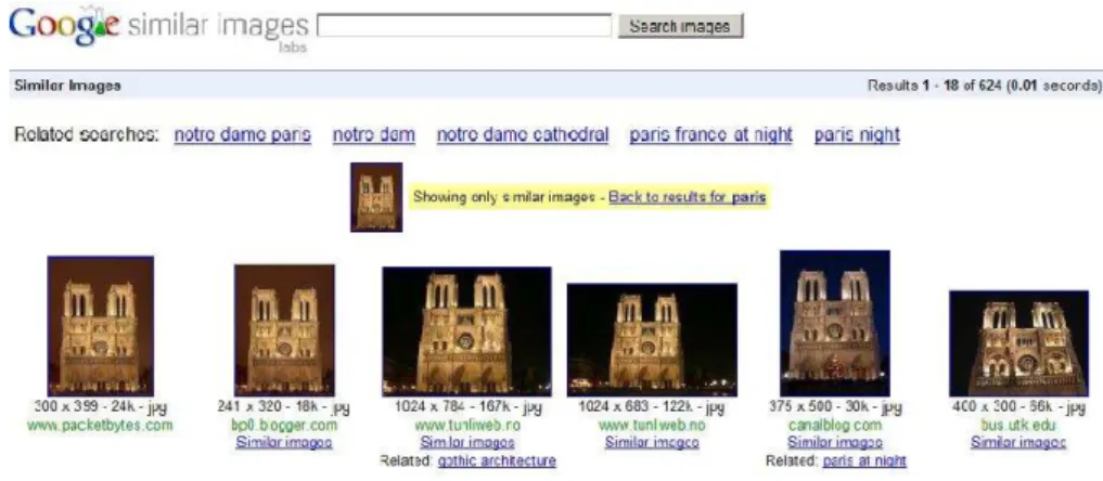 Figure 2.4 – Image requˆete et le r´esultat renvoy´e par Google Similar Images