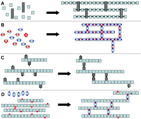 Figure 1. Scheme of the synthesis of polymer networks from monomer units (A, B) and from a