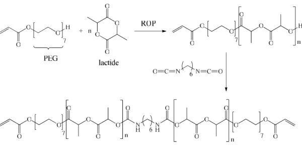 Figure 18. Chemical structure and scheme of the synthesis of PEG-PLA-PEG diacrylate crosslinker (Clapper et al
