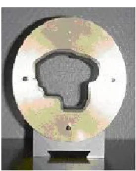 Figure 2 : ligne de faisceau thérapeutique de protons à l’ICPO 