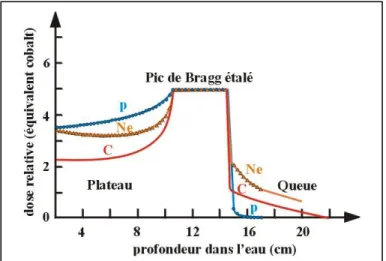 Figure  6 :  dépôt  de  dose  sur  une  cible  pour  des  protons,  des  néons  et  des  ions  carbone
