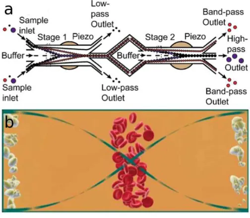 Figure 1.11: Acoustic forces used to sort (a) microparticles [18] and (b) reb and white blood cells [20].